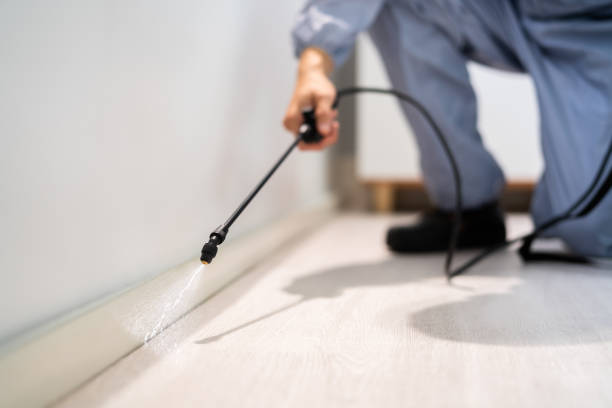 Licensed Fumigation Services service in Cameron Park, CA - Nex Pest Control