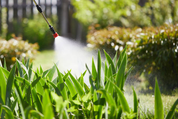 24/7 Emergency Fumigation Services experts in Cameron Park, CA