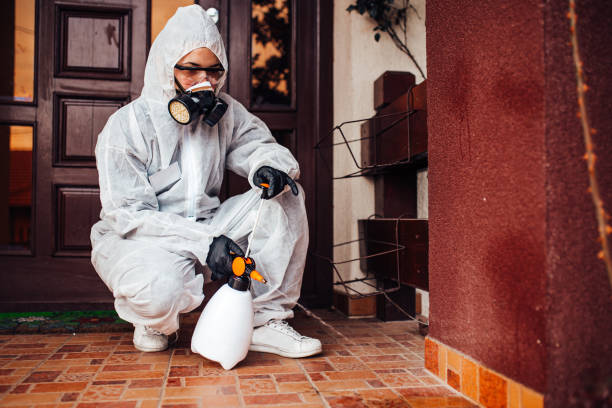 Reliable Fumigation Services contractor in Cameron Park, CA by Nex Pest Control